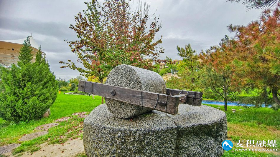 IMG_20251012_0956131