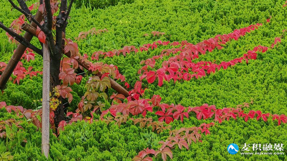 IMG_20251012_1007171