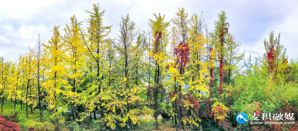 IMG_20251012_0937581