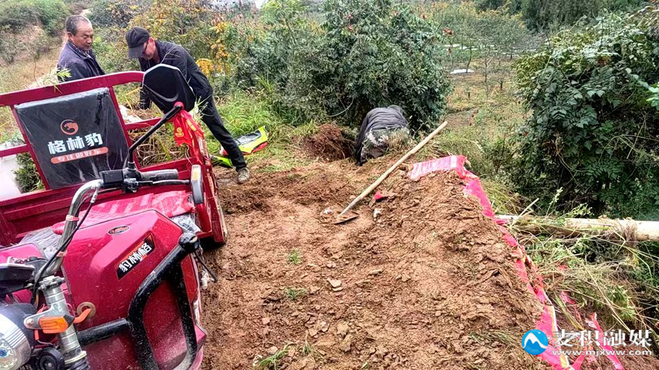 4781797bf8c33ba703e7ba5aa159055e