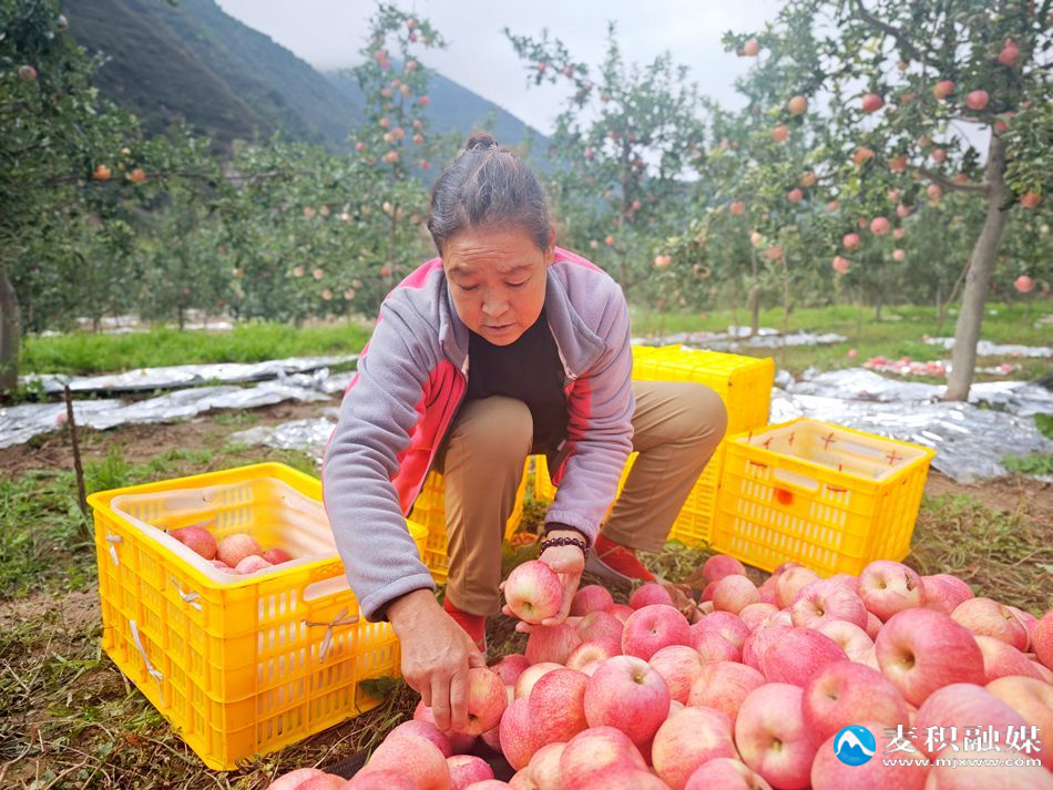 a5af7e1b0db3816cd50ab43073a96719