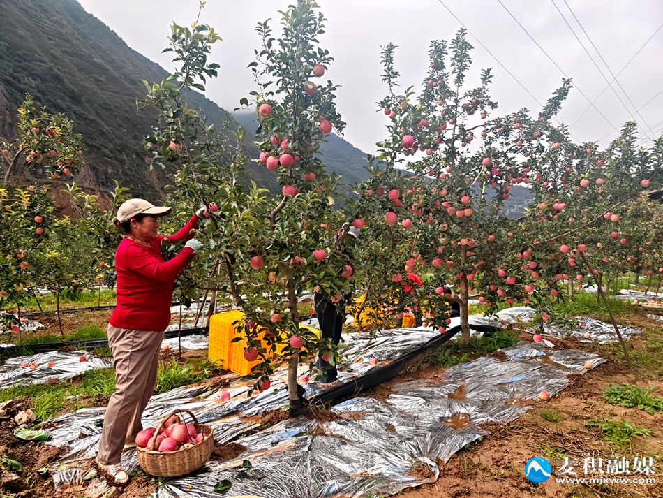 f4eb5bbf1bbc284a0219bc7fde457383