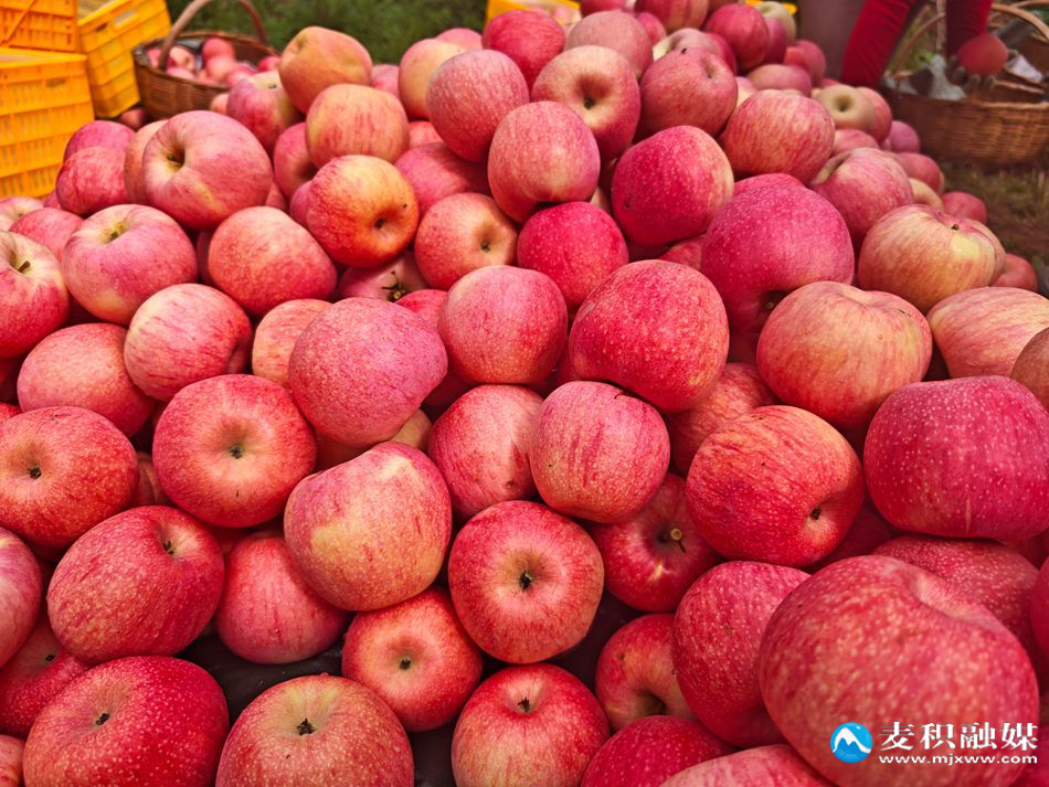 4310d04f02fb8dc4c3b7594148572914