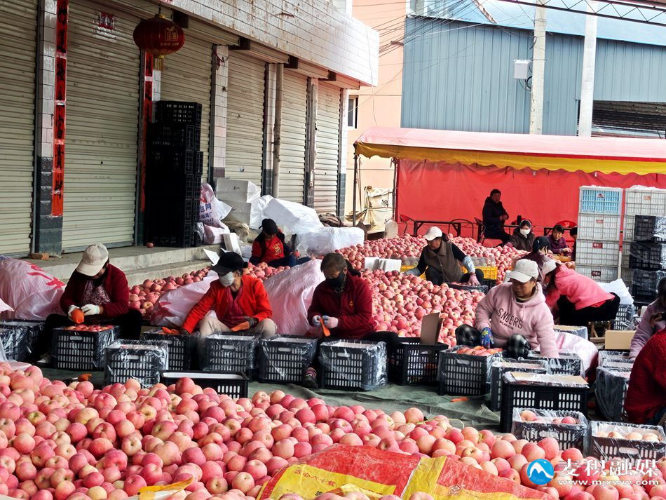 6b8b280600c11f0bf8ffd1053f6c3c2b