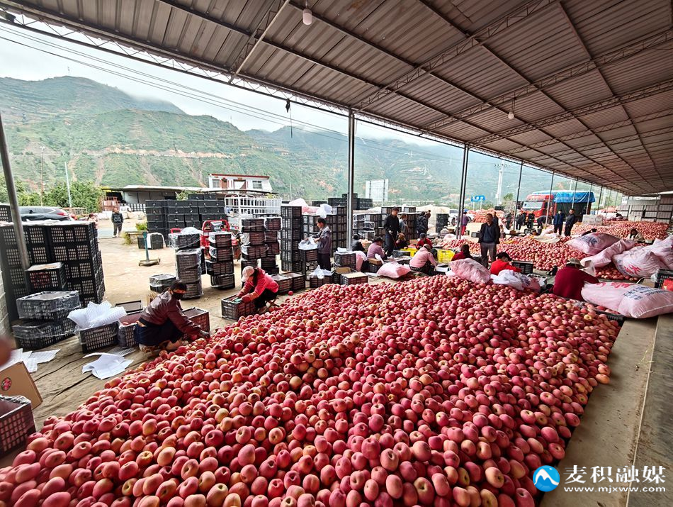 9ca875713cf889c2efbc4006eff24ce7