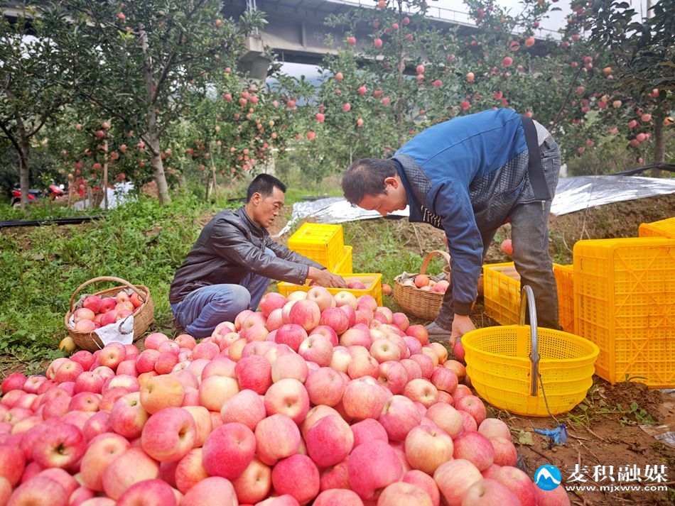 333a2c9be21889c351a6213df1c8babb