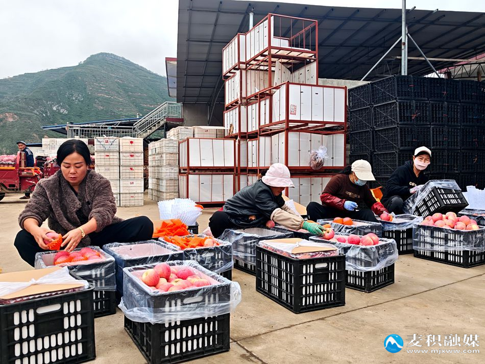 2ceba39b3817f0a3cc6acfa7ee0061ba