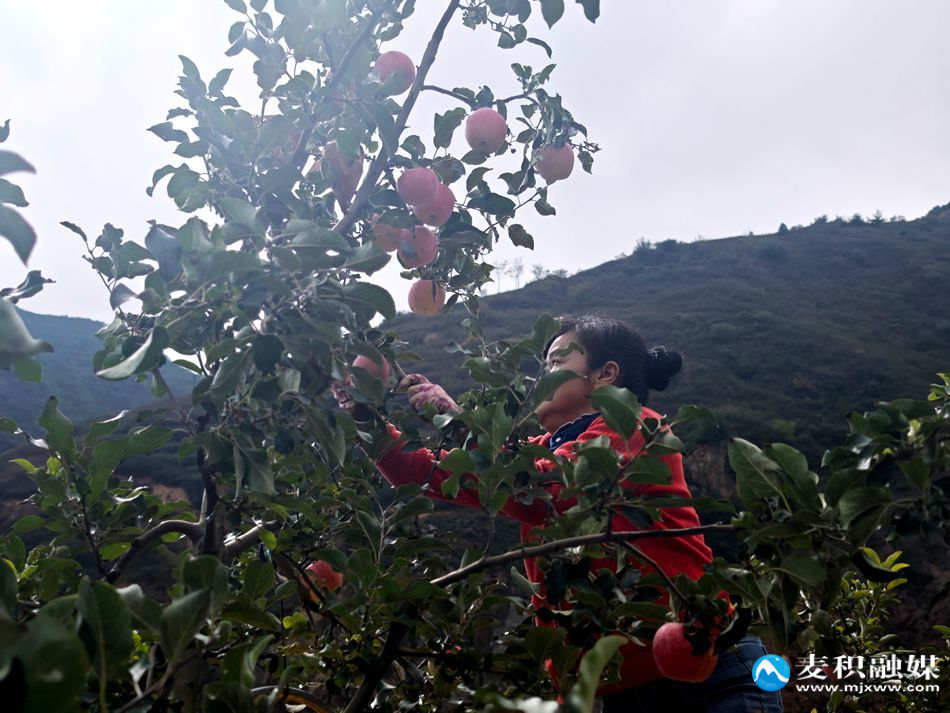 bd47602cbe465d413a29403f9c30753c