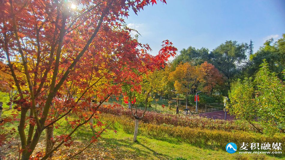 IMG_20251025_1534011