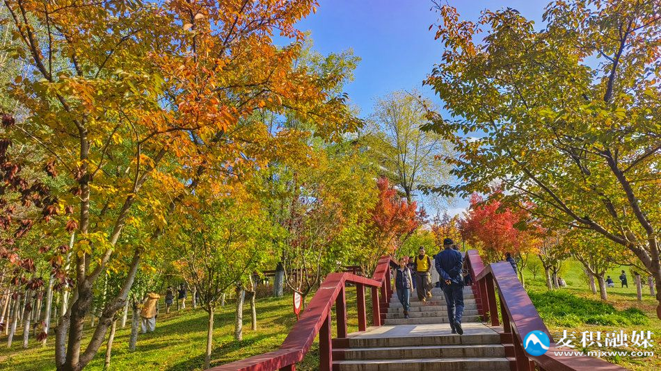 IMG_20251025_1533131