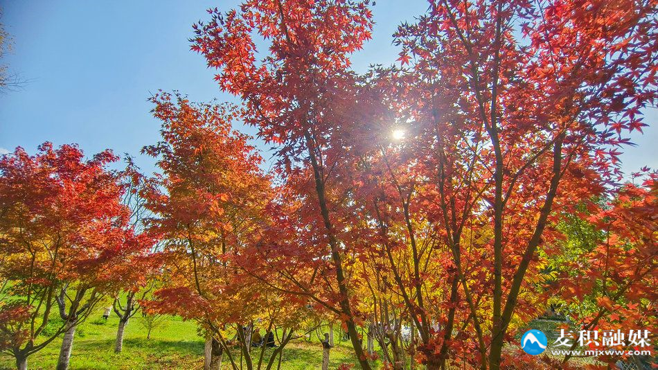 IMG_20251025_1533571