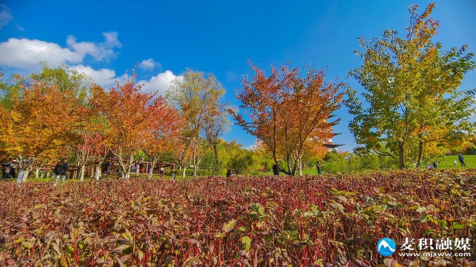 IMG_20251025_1528181