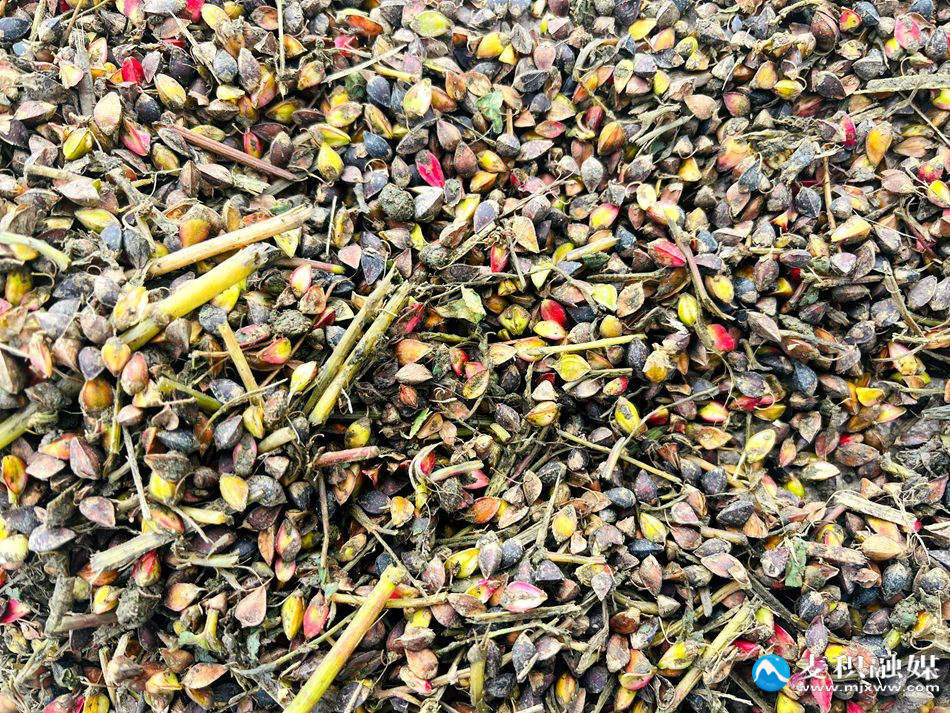 微信图片_20251028130328_76_21