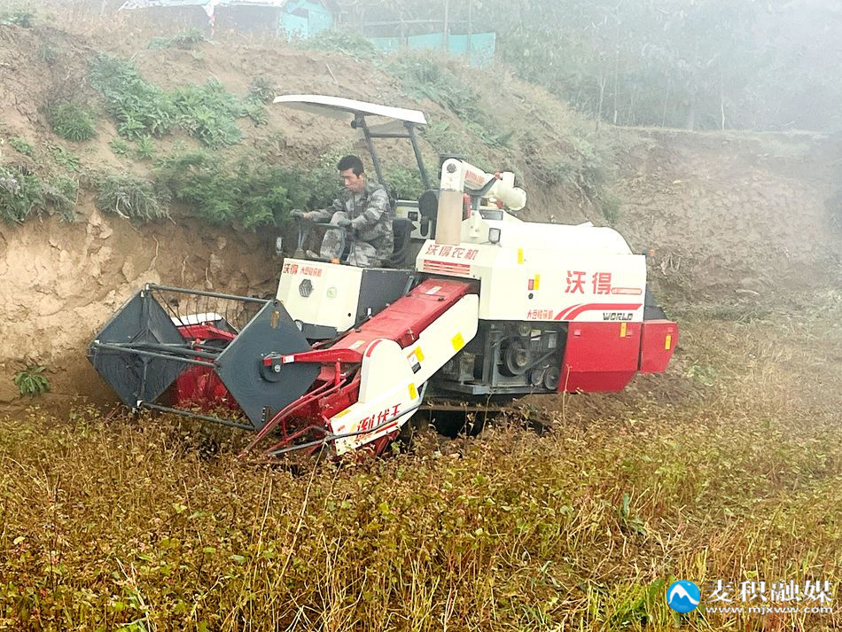 微信图片_20251028130319_73_21