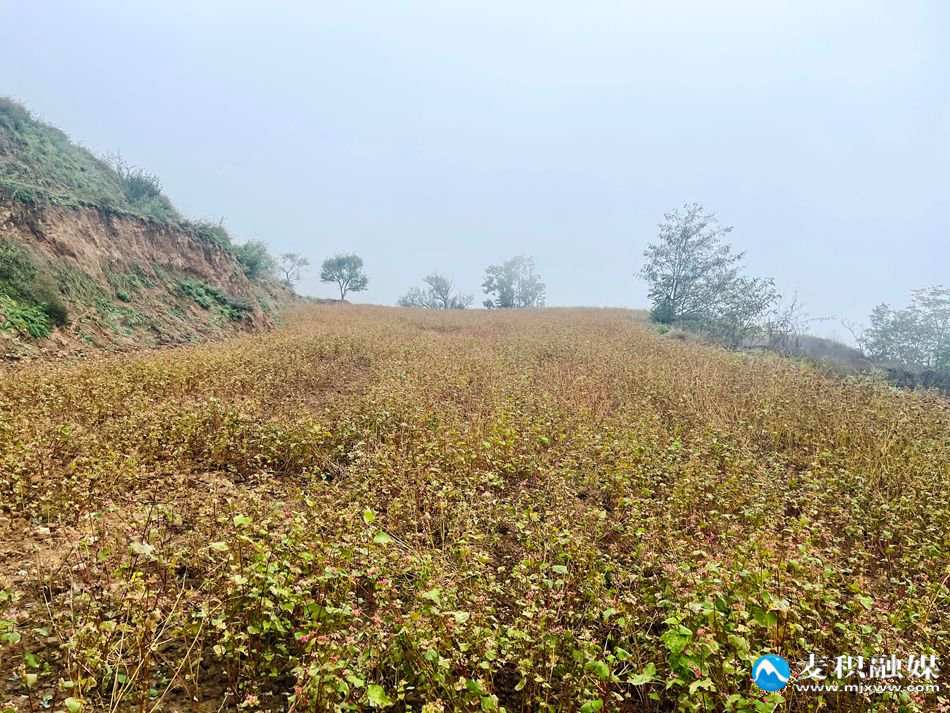 微信图片_20251028130315_71_21