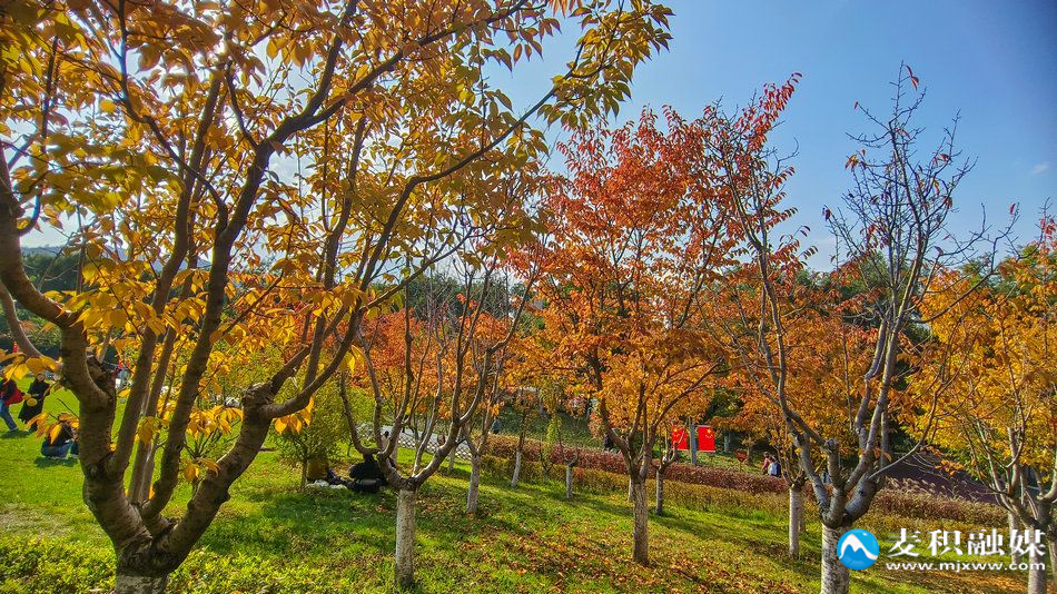 IMG_20251025_1536151