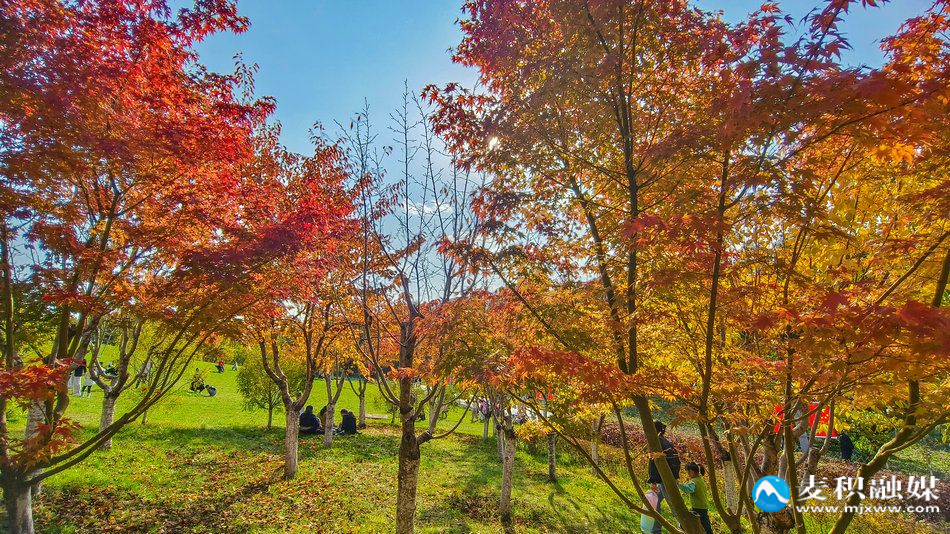 IMG_20251025_1534091