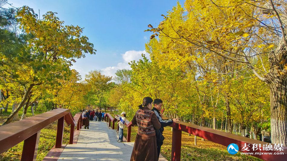 IMG_20251025_1541031