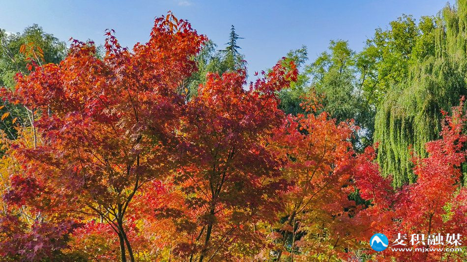 IMG_20251025_1537011