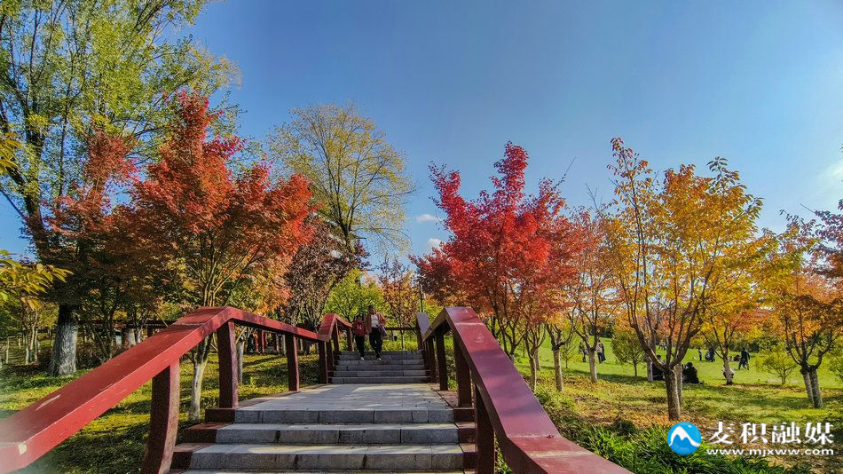 IMG_20251025_1533414