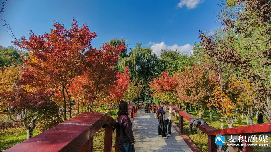 IMG_20251025_1535521