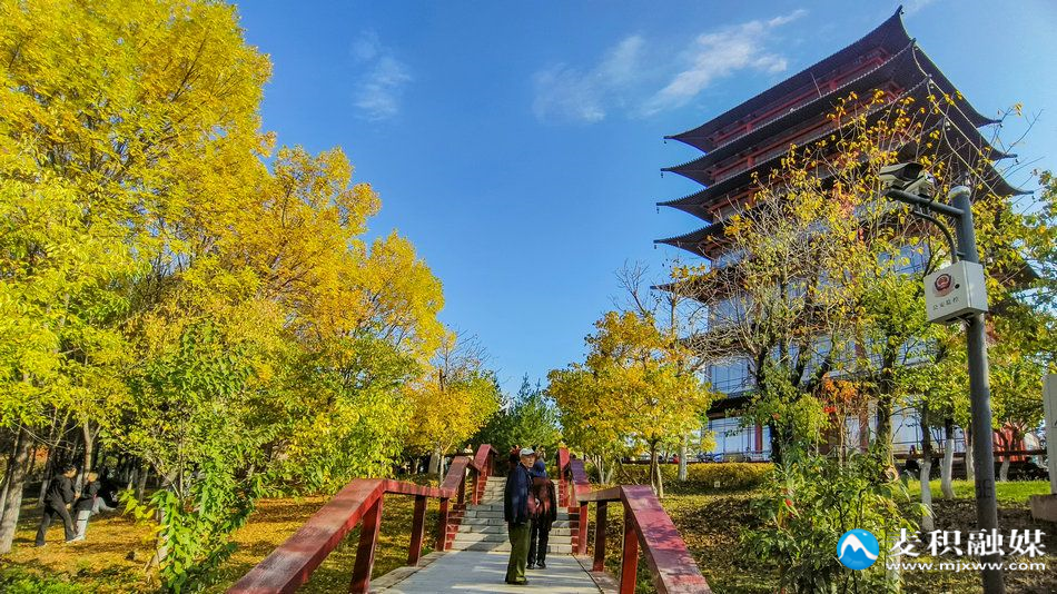 IMG_20251025_1540151