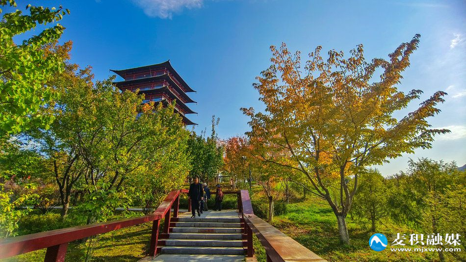 IMG_20251025_1539321