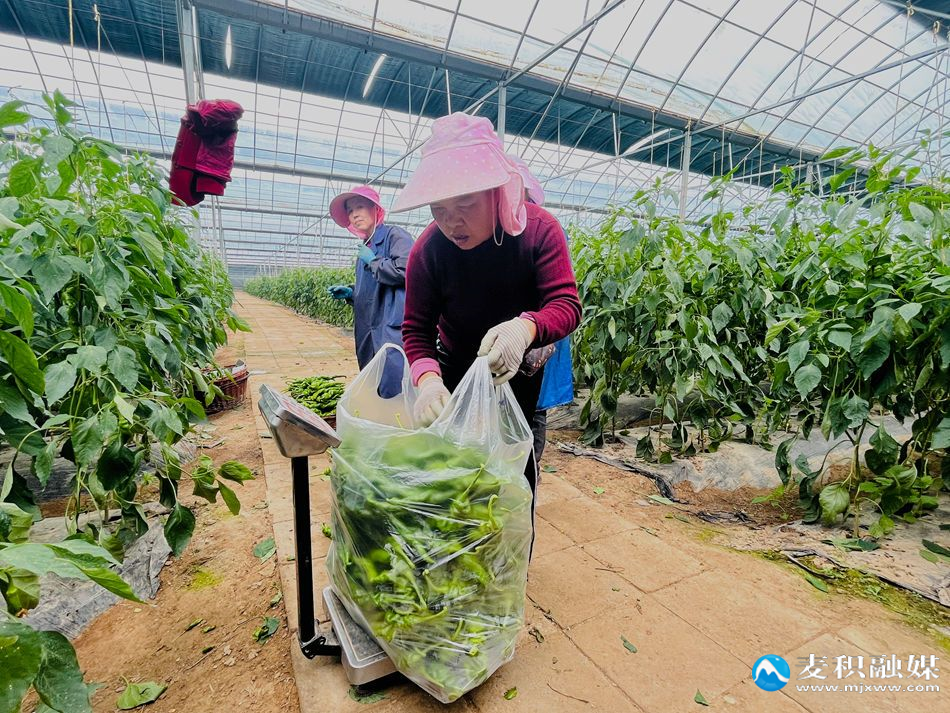 微信图片_20251029150832_103_21