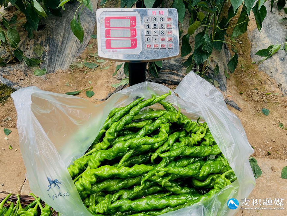 微信图片_20251029150615_97_21