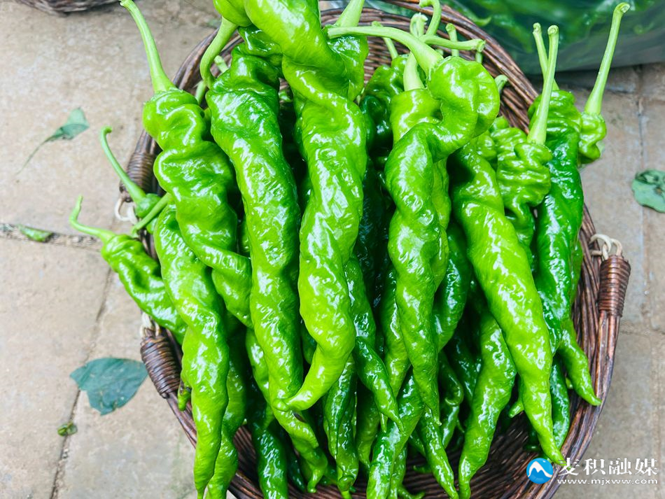 微信图片_20251029150623_99_21