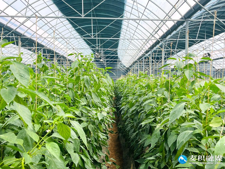 微信图片_20251029150553_93_21