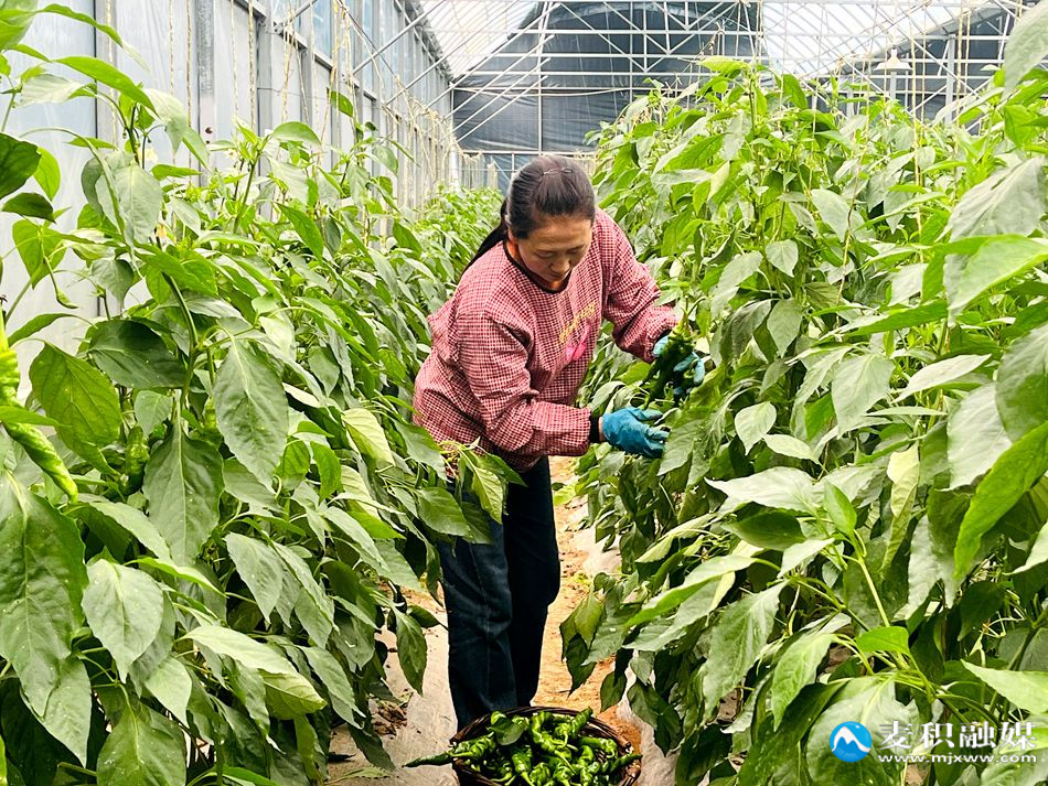 微信图片_20251029150825_101_21