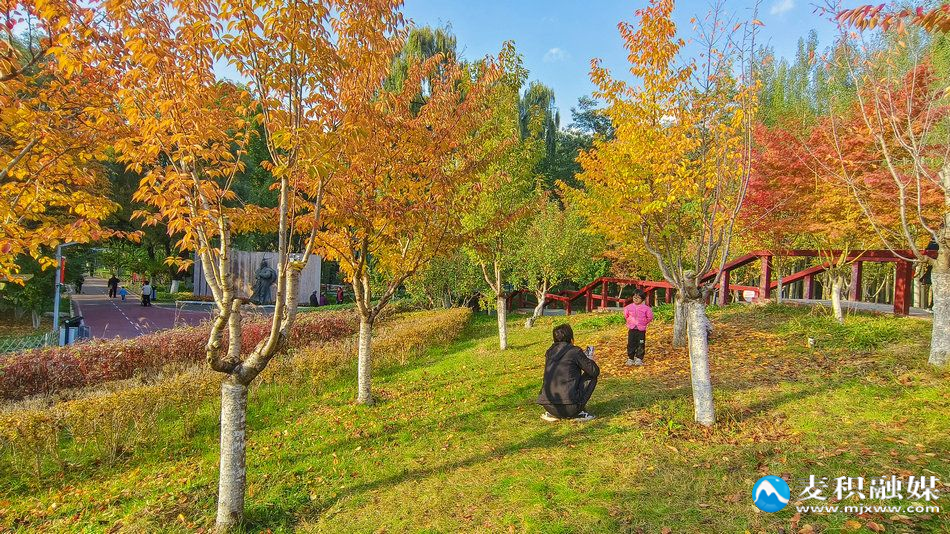 IMG_20251025_1635151