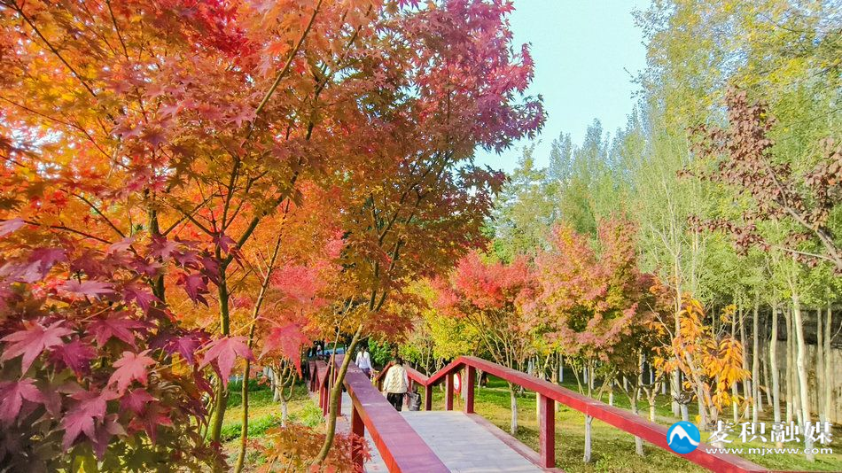 IMG_20251025_1636021