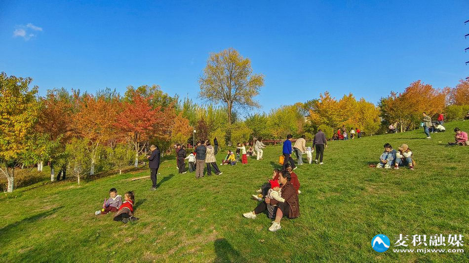 IMG_20251025_1634081