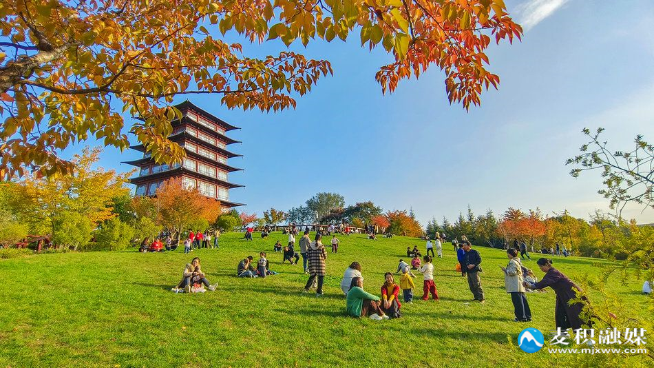 IMG_20251025_1634461