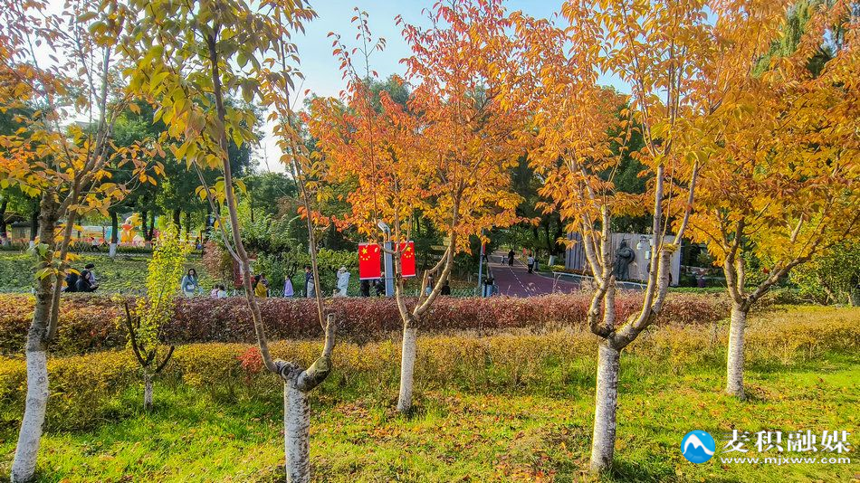 IMG_20251025_1635171