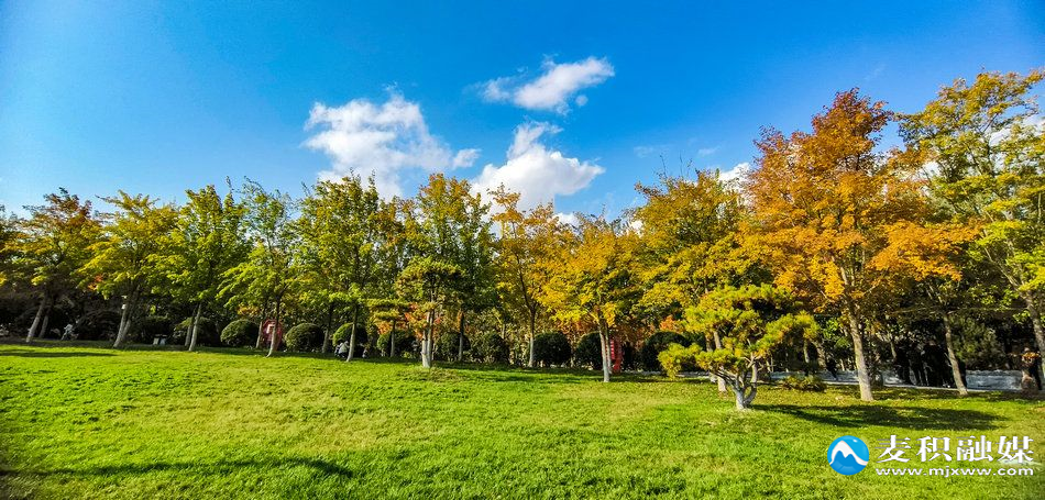 IMG_20251025_1548151