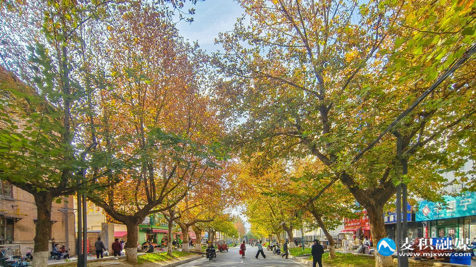 IMG_20251112_1009511