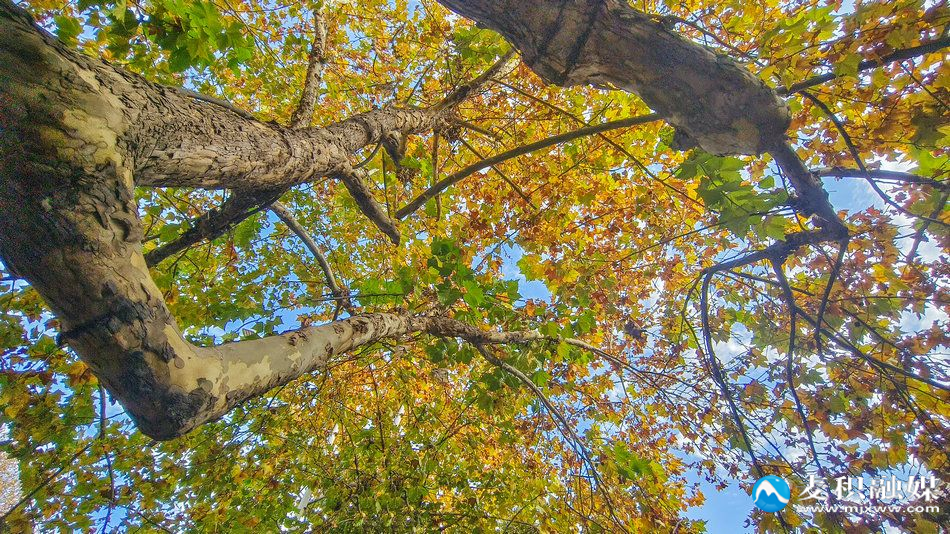 IMG_20251113_1518391