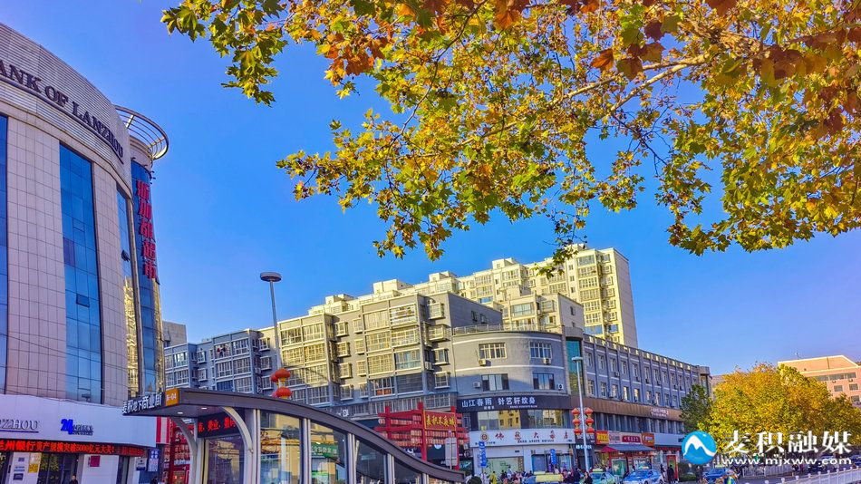 IMG_20251115_1548211