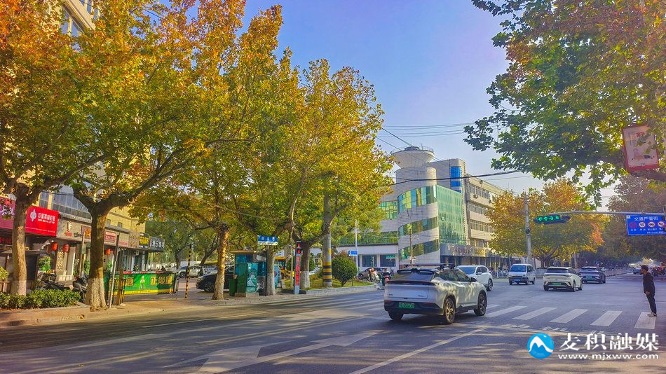 IMG_20251115_1005001