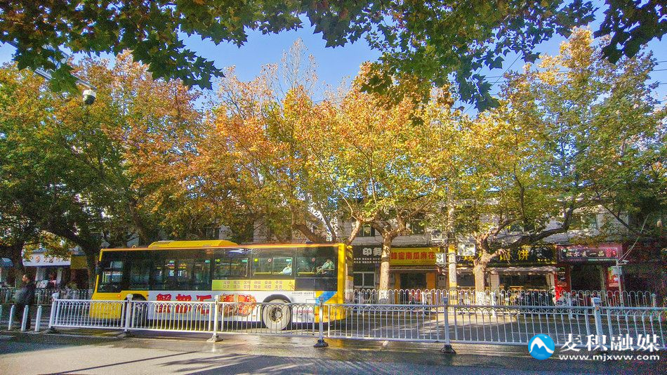 IMG_20251115_1524561