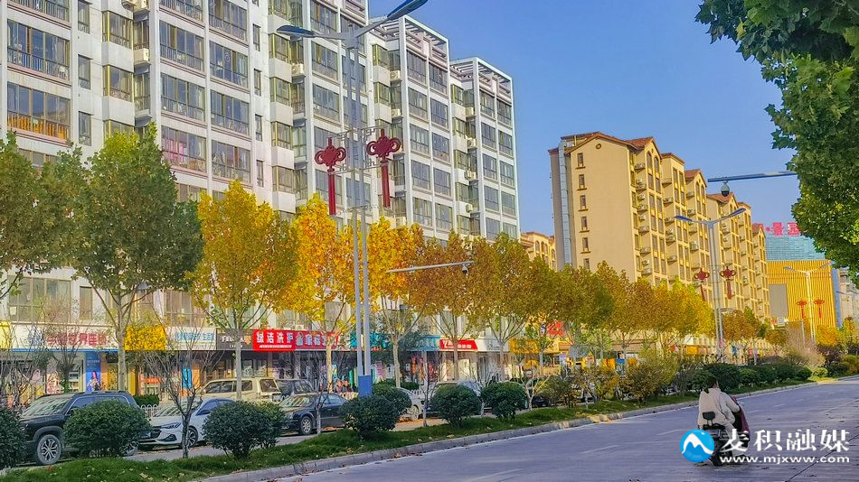 IMG_20251112_1519151