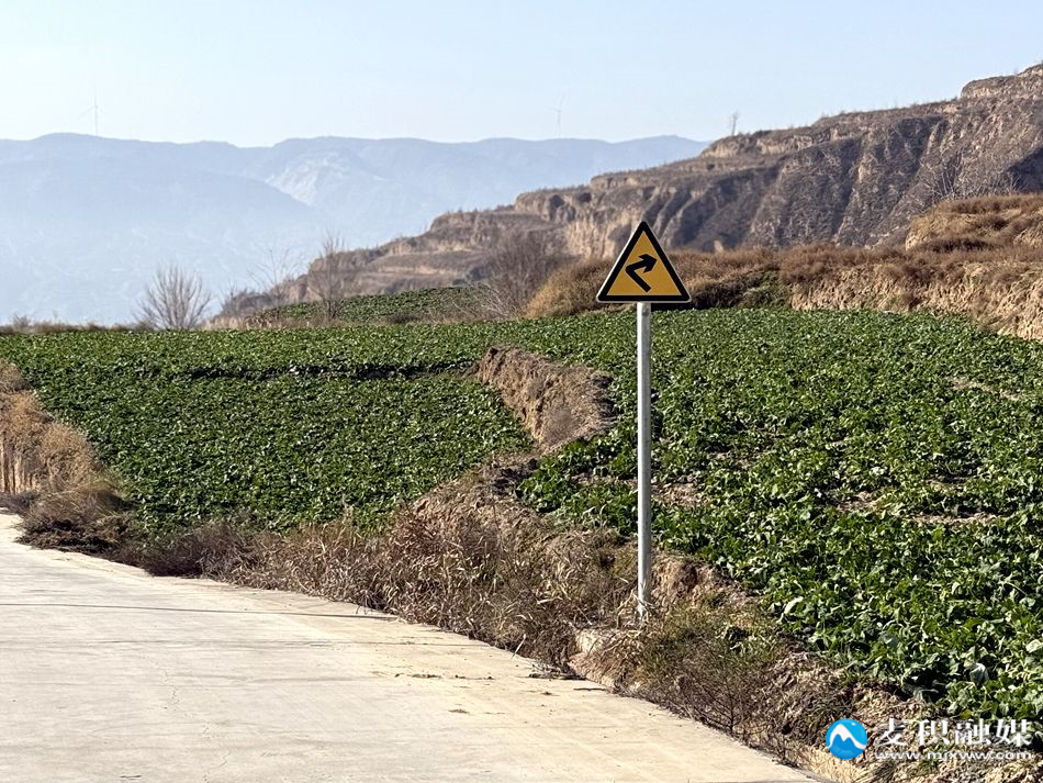 9219e57ae0ec9e7c2a7b0fe4221ee1e