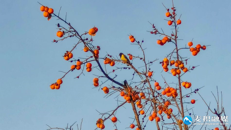 IMG_20251118_1719031