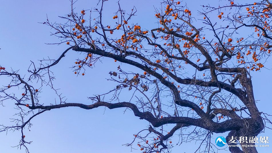 IMG_20251118_1719481