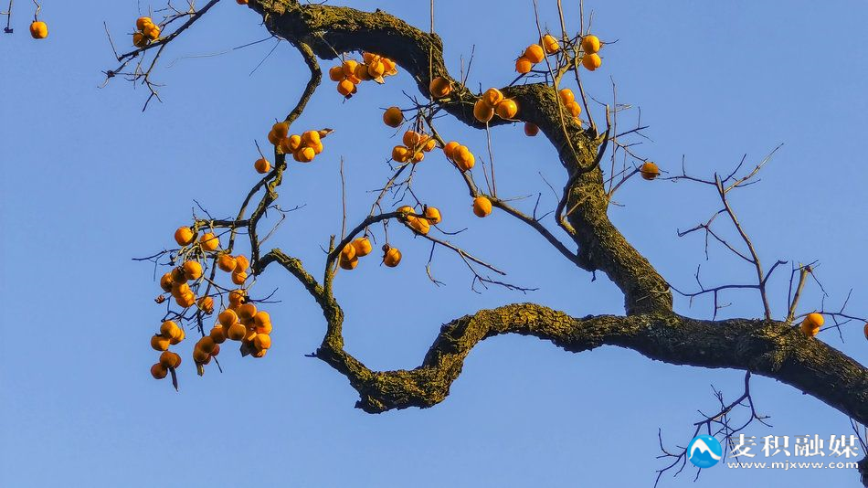 IMG_20251118_1638291