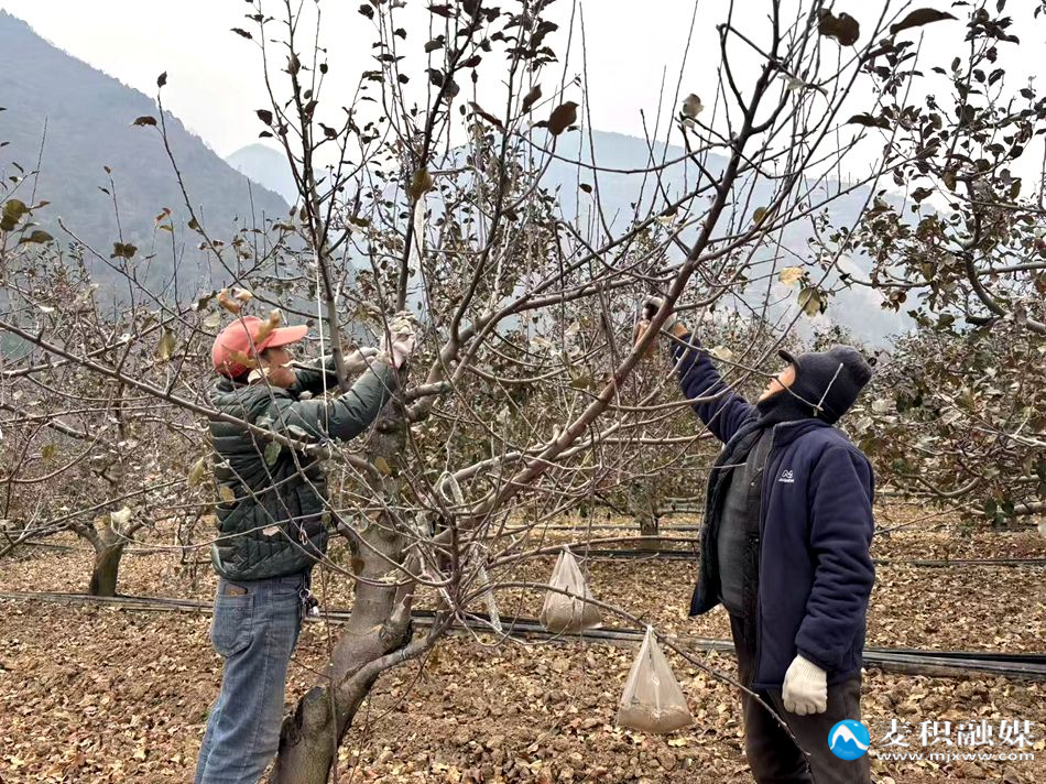 微信图片_20251216170533_182_6