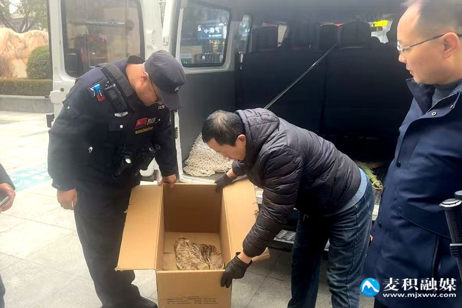 微信图片_20251218162043_192_100 微信图片_20251218162043_192_100